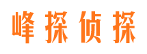 海淀市场调查